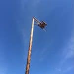 Osprey+Platform