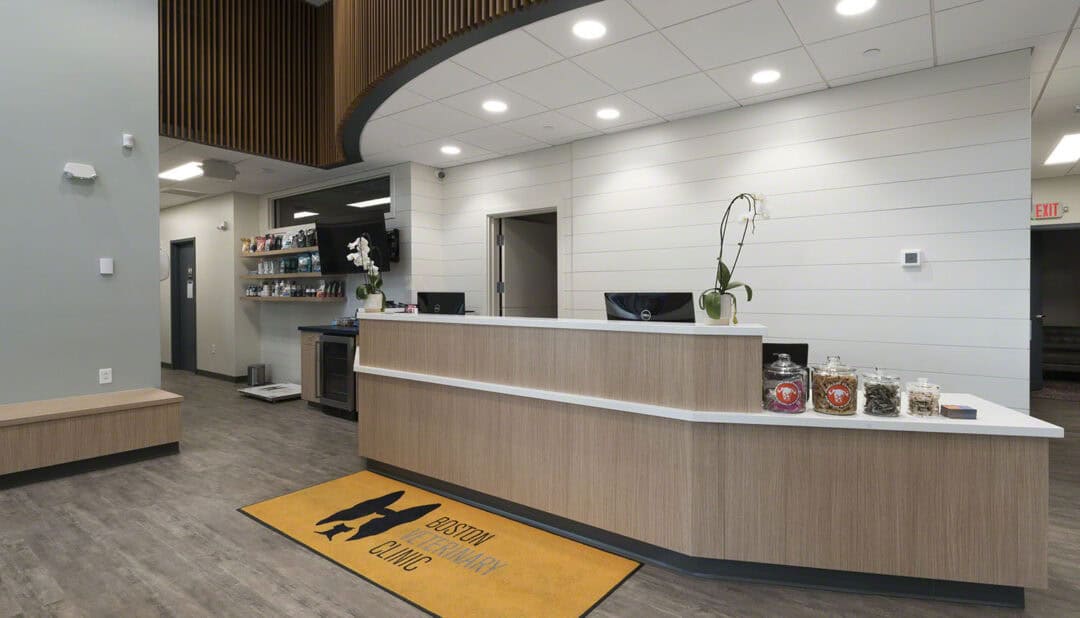 NEC Completes Boston Vet Clinic HighProfile Monthly