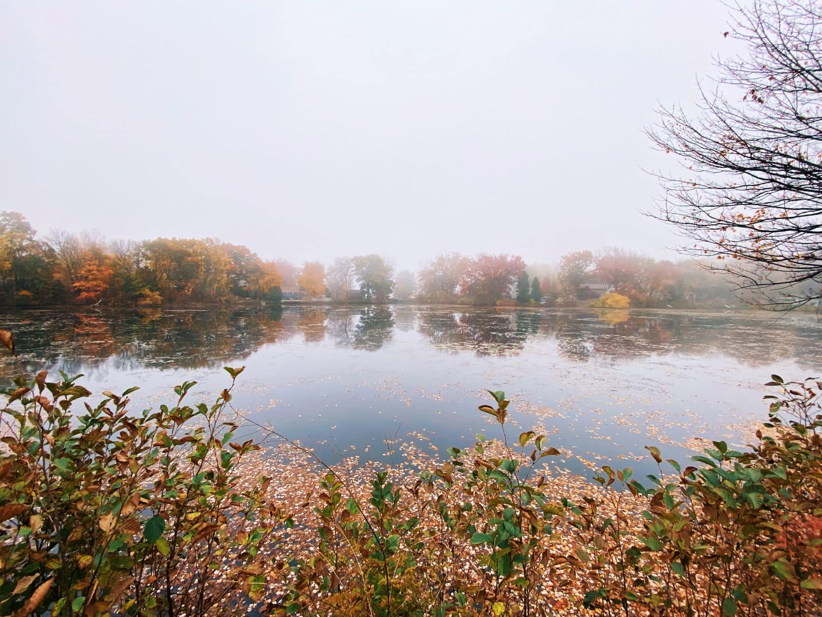 Millbury's Dorothy Pond Dredging Honored HighProfile Monthly